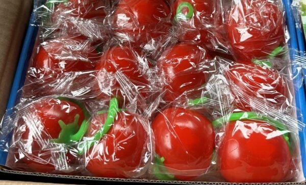 TOMAT TALI ALJOY-3 PER BOX